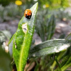 Meet your Posher, Eva